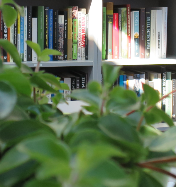 Bøker på hyller bak en plant