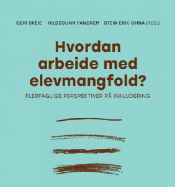 Hvordan arbeide med elevmangfold?