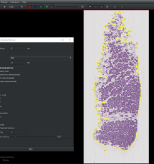 Whole Slide Imaging