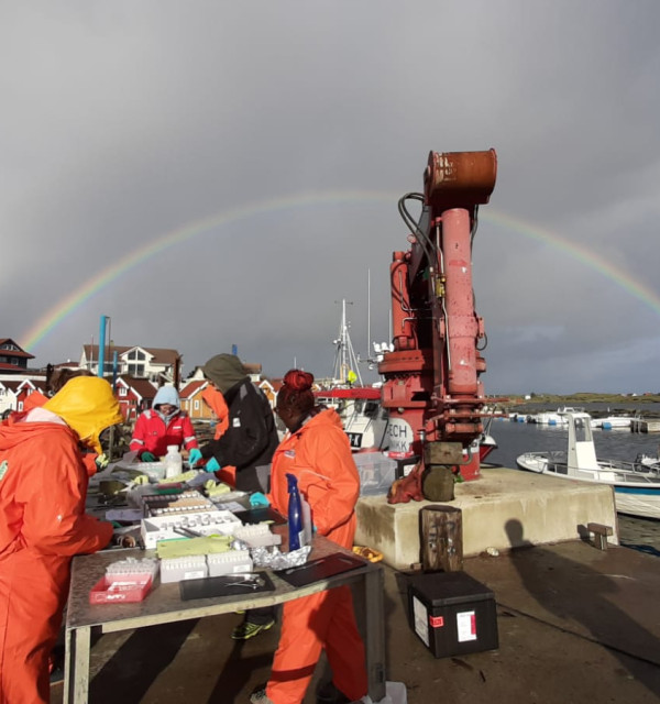 Ecotoxicology and environmental monitoring