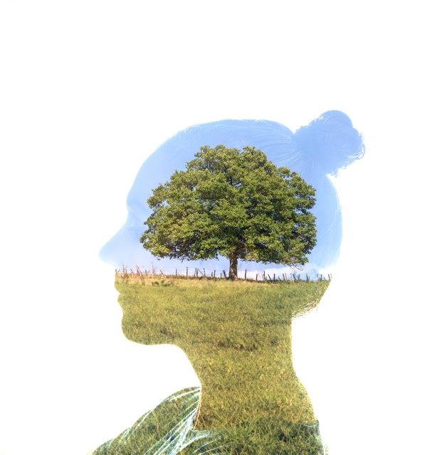 omriss av et menneskehode mot hvit bakgrunn, et foto av et tre på eng eng med blå himmel fyller omrisset av hodet