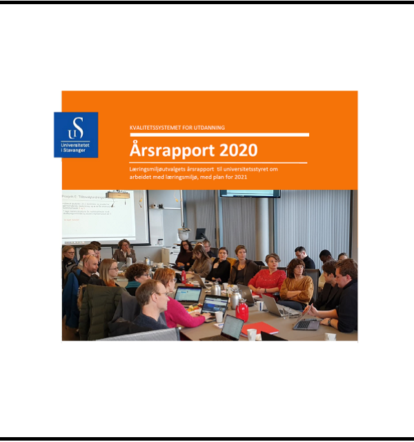 Læringsmiljøutvalget i 2020