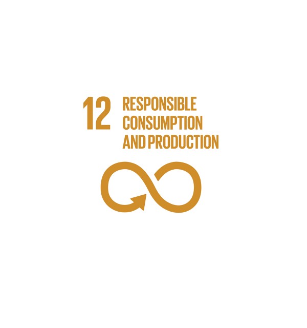 Responsible consumption and production