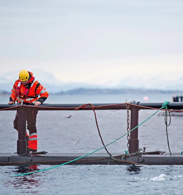 A unified framework for regulation of multi-technology salmon aquaculture