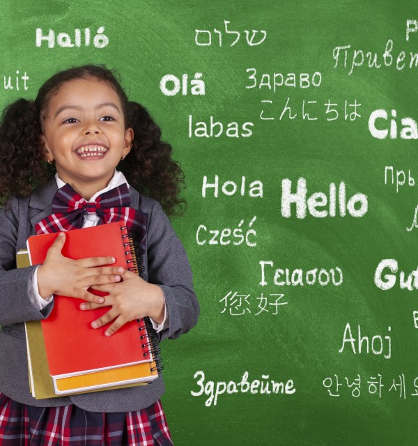 Flerspråklighet i barnehage og skole