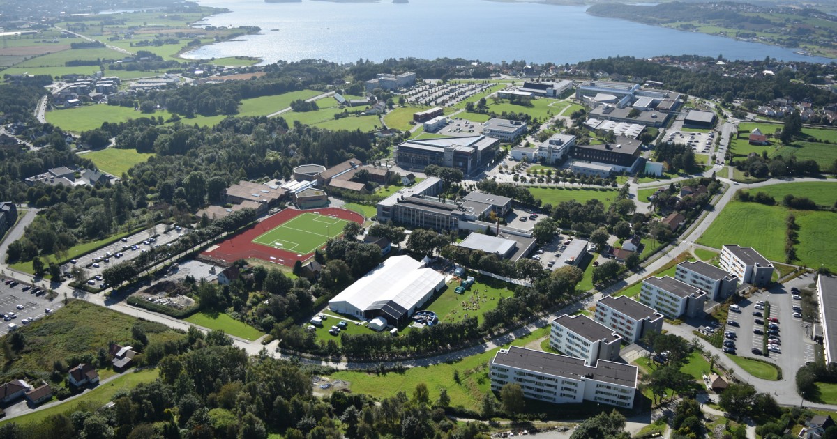 About the University of Stavanger | University of Stavanger