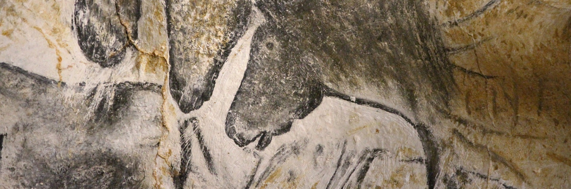 ChauvetPanel