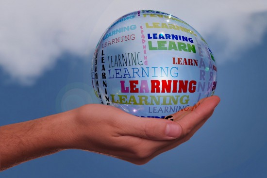 Hand globe education