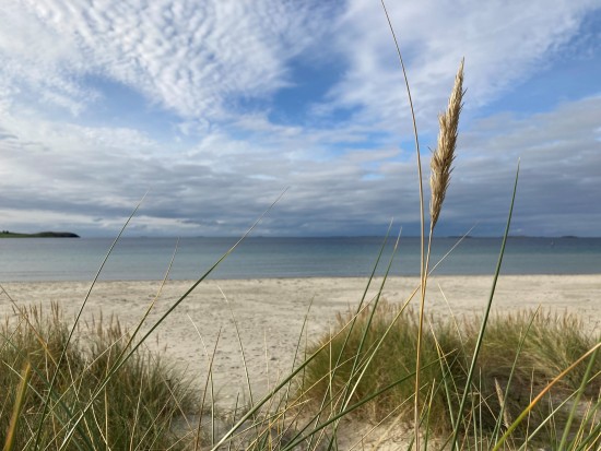 Solastranden i Rogaland med strå i forgrunnen.