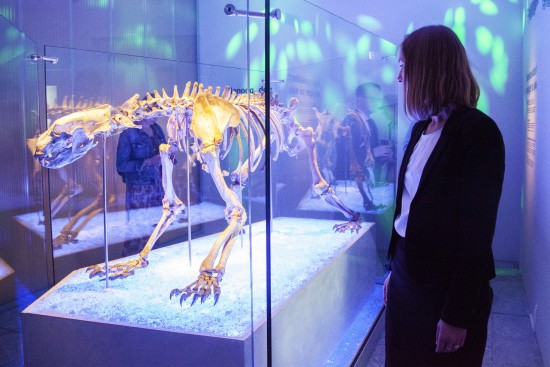 The Museum of Archaeology