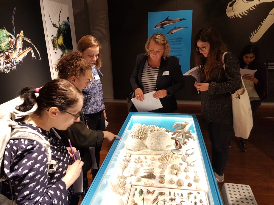 Ein gjeng kvinner står samla rundt ein utstillingsmonter på Stavanger museum