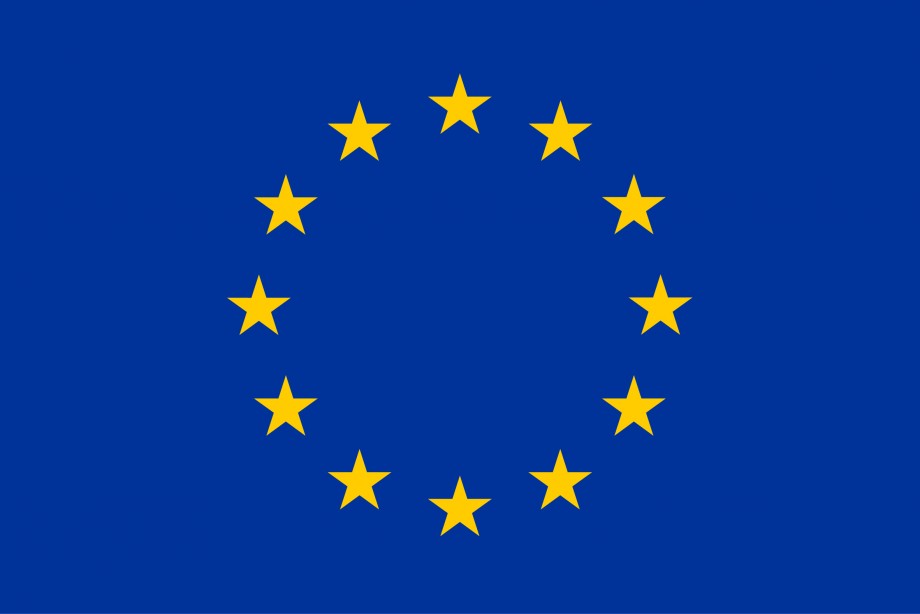 EU-flagget i blått med tolv gule stjerner.