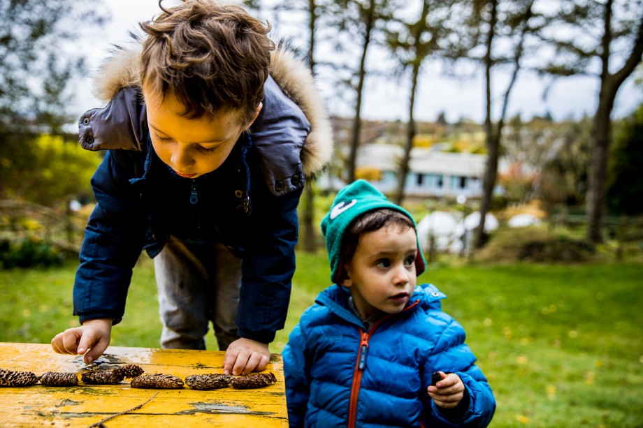 Bildet av et barn som leker med kongler. To gutter leker i skogen