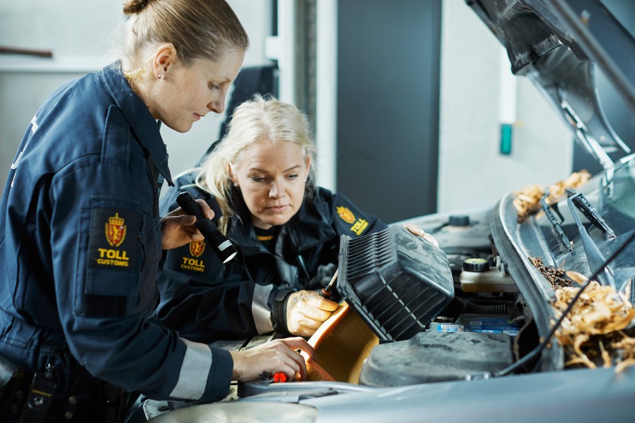 Kjøretøykontroll på Svinesund