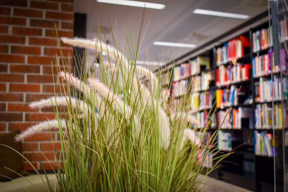 Bjergsted bibliotek