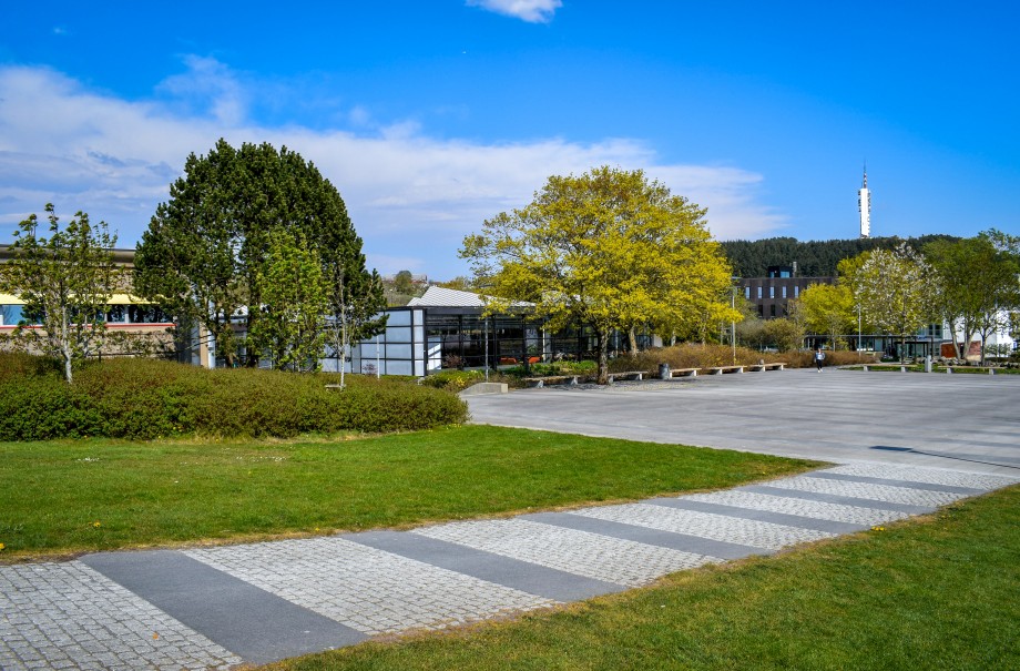 Campus Ullandhaug med Ullandhaugstårnet og blå himmel
