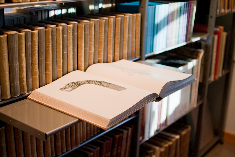 Gammel åpen bok med en drage illustrasjon