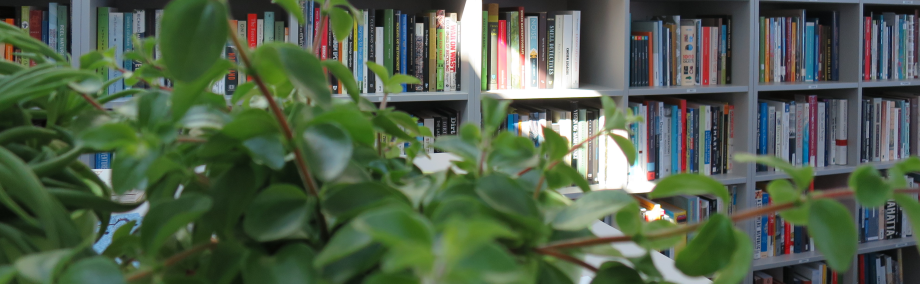 Bøker på hyller bak en plant