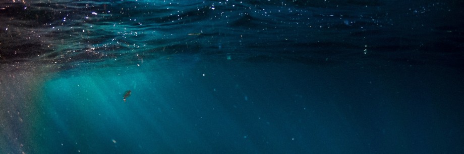 Undervannsfoto av blågrønt hav
