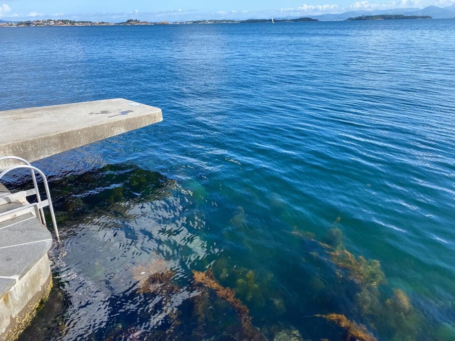 A diving board on the edge of the fjord. Seaweed is visible in the blue water under the diving board
