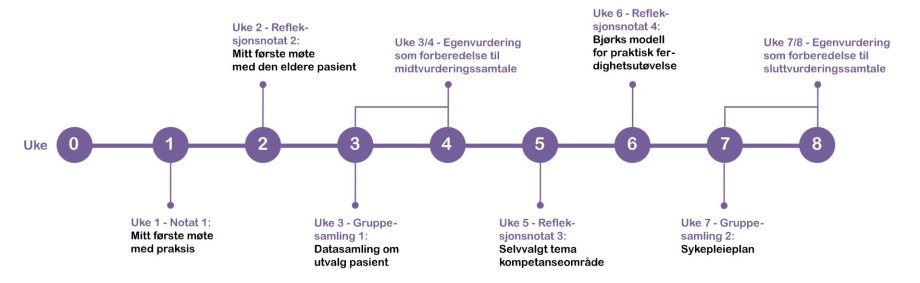 Illustrasjon som viser en tidslinje for innleveringer i praksisperioden