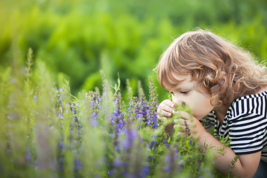 Et lite barn i en eng som snuser på blomster
