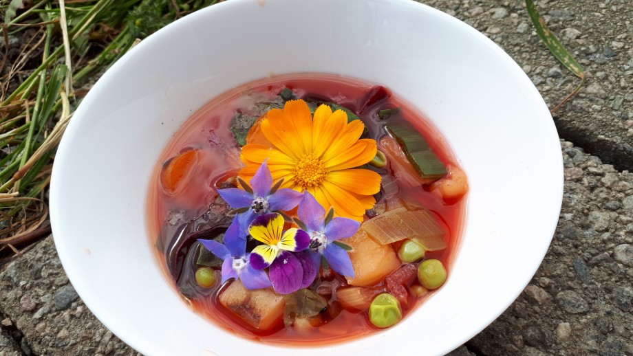 Rabarbrasuppe laget av egenhøstede grønnsaker, og med spiselig pynt.