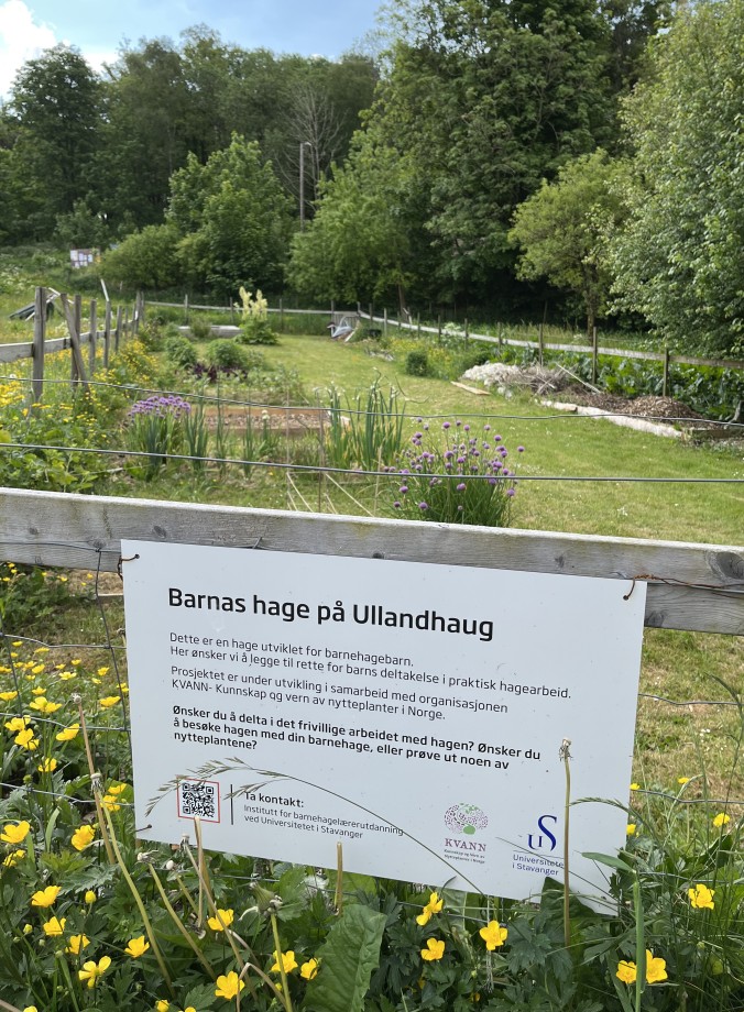 Skilt til Barnas hage på Ullandhaug i sommereng.