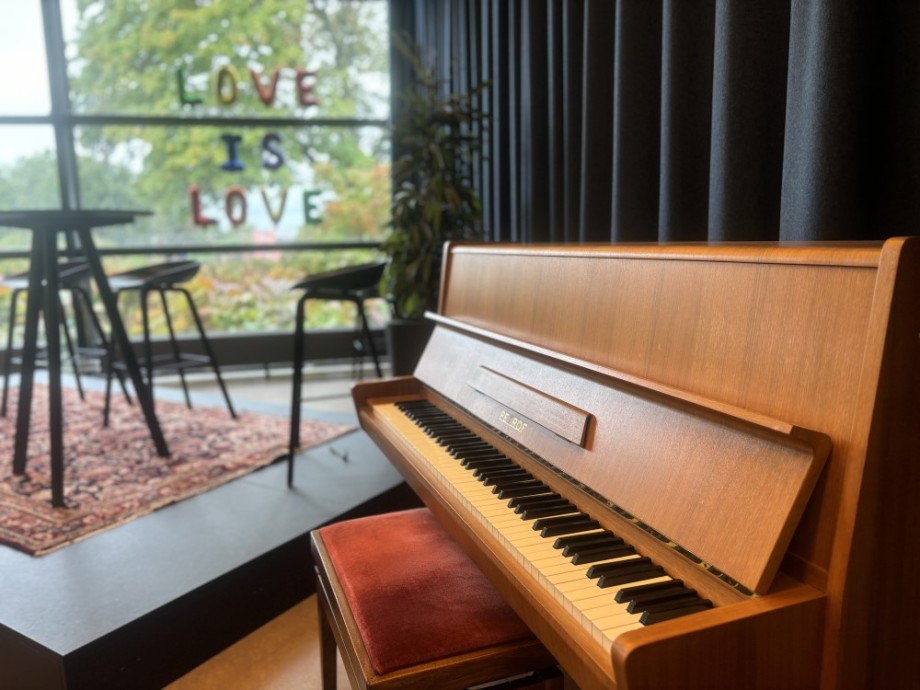 piano i biblioteket