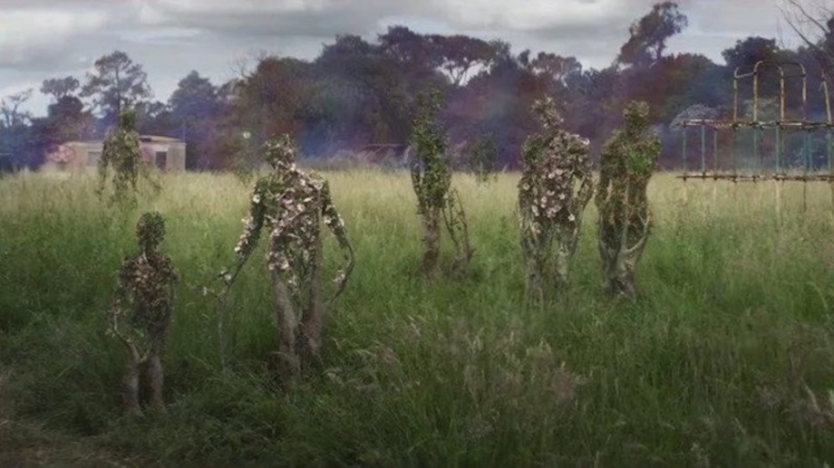 Anthropomorphic trees stand in a field with a derelict climbing frame and a ruined house behind them. In the far background is a forest.