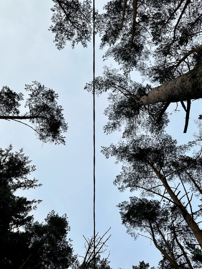 Looking up at a power line that runs down the centre of the image framed by trees to either side against a light blue-grey sky.