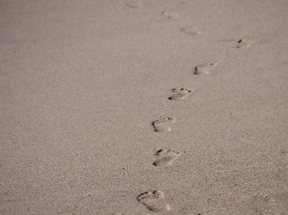 Footprints in the sand