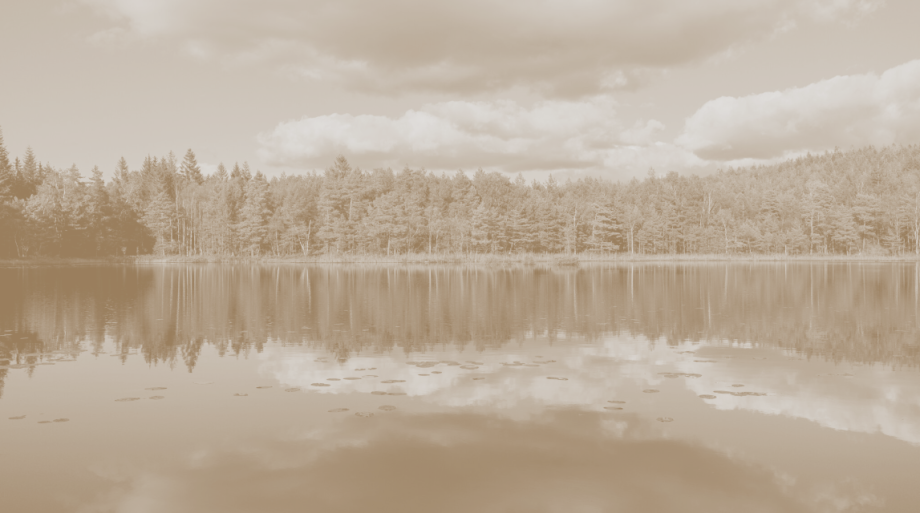 A sepia toned photo showing the view across a lake to a forest in the distance
