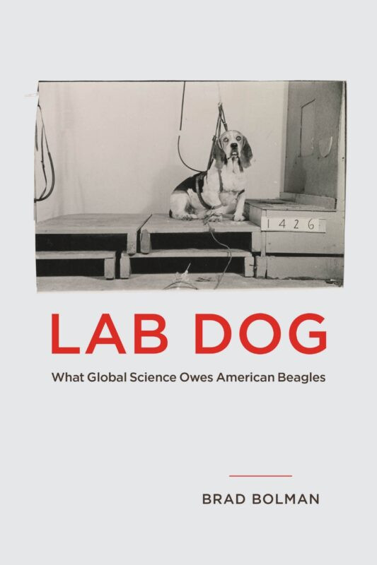 Book Cover: "Lab Dog" by Brad Bolman
