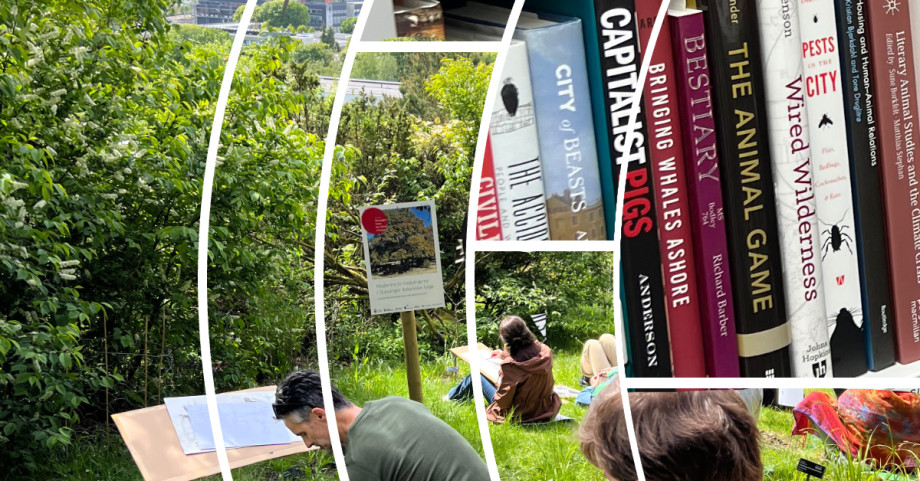 Composite image of a garden in which people are drawing, and books on a shelf