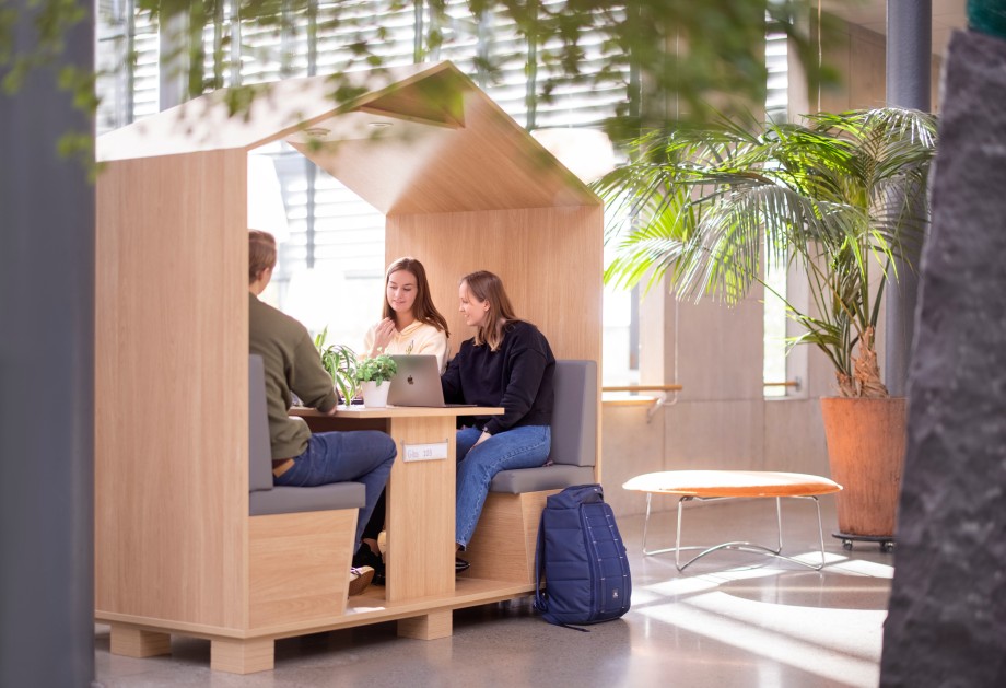Får nesten fem millioner til å utvikle ny | Universitetet i Stavanger