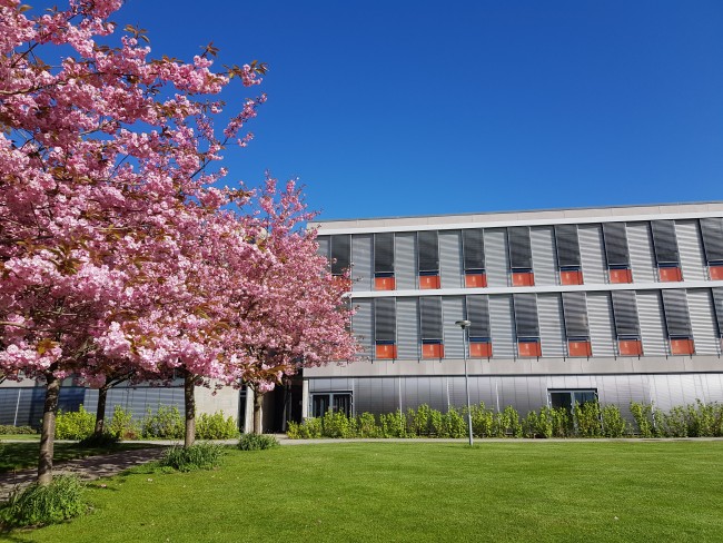 Bygning, blomstrende trær, plen og blå himmel