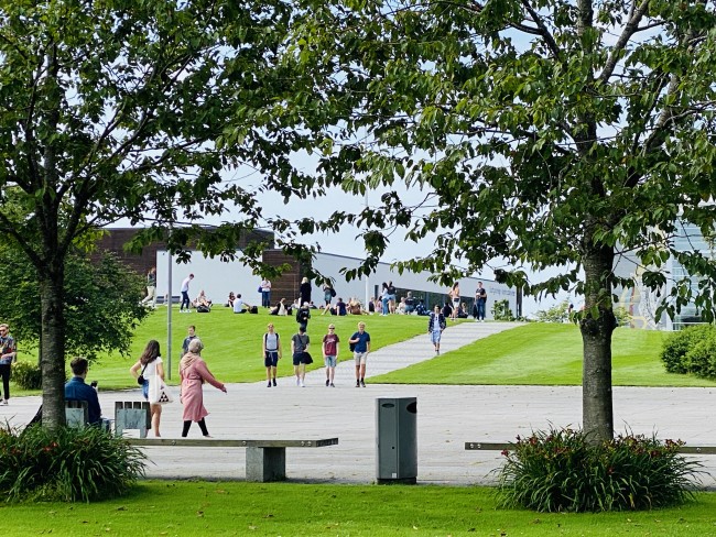 Sosiologi bachelor, illustrasjonsfoto. Studenter på campus