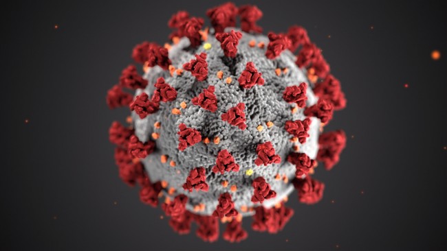 koronavirus illustrasjon