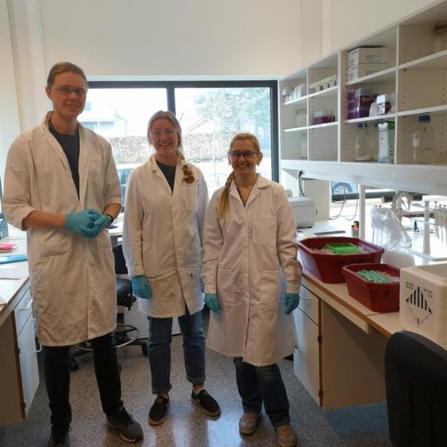 Lab activitiy_students at a lab connected to Ecotoxicology and environmental monitoring 