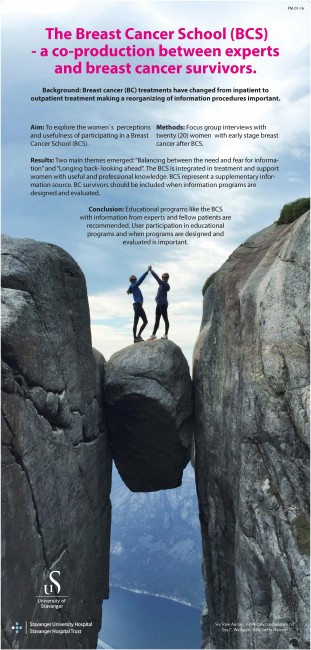 BCS poster