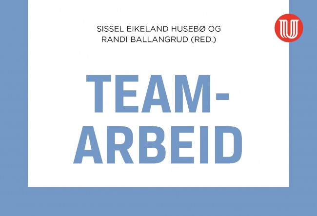 bokomslag teamarbeid i helsetjenesten