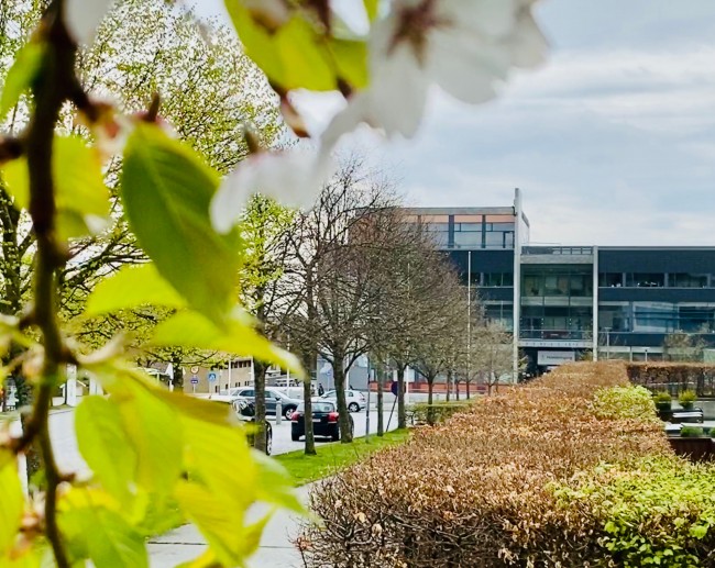 Vår på campus