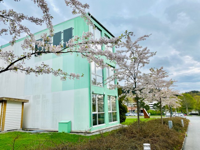 Grønn box campus