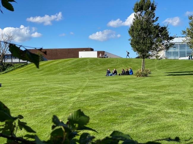 campus Ullandhaug og Flagghøyden i frodige sommerfarger.