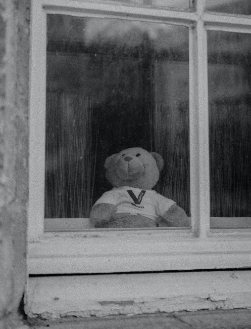 et svart-hvitt-bilde av en teddybjørn i et vindu