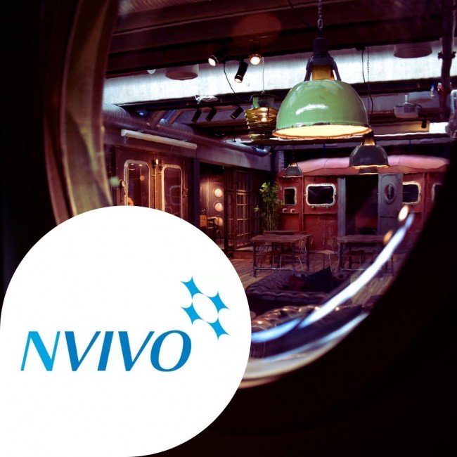NVivo logo