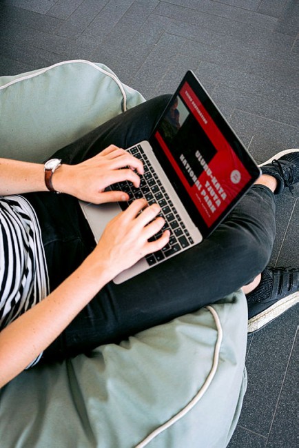 Illustrasjonsbilde, person med laptop