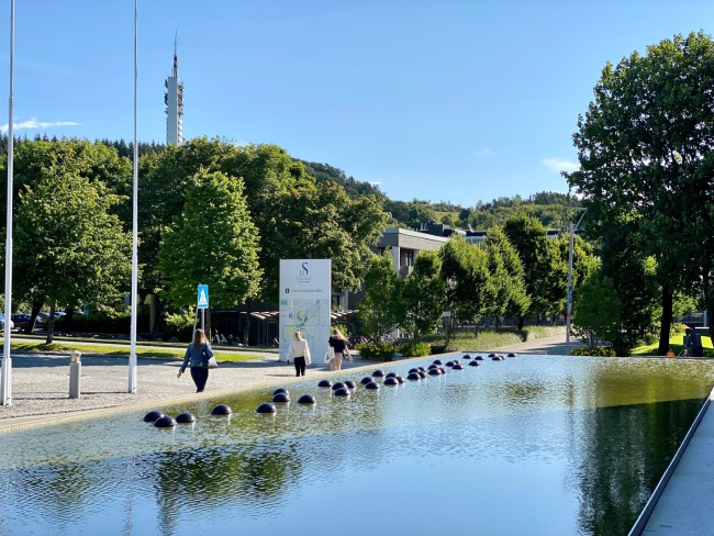 Campus Ullandhaug med Sørmarka og Ullandhaugtårnet i bakgrunnen.