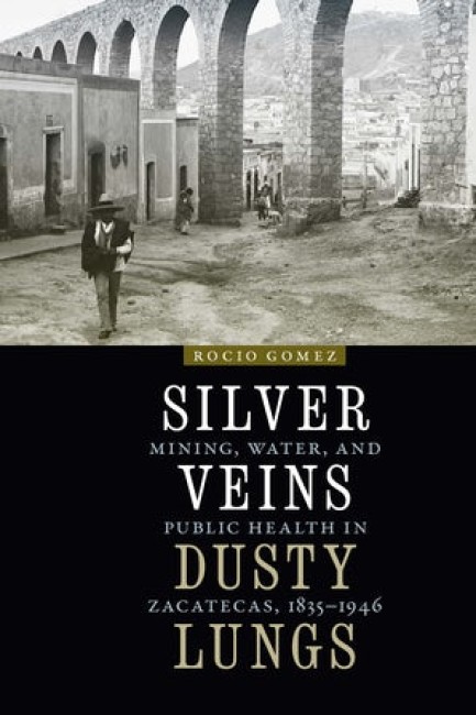 Bokomslag: Silver Veins, Dusty Lungs av Rocio Gomez